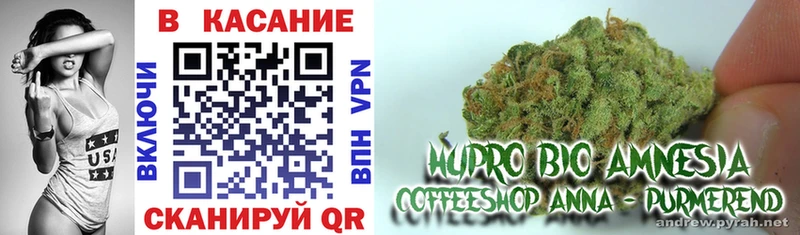Купить закладку Бирюсинск Марихуана  NBOMe  СОЛЬ  ГАШИШ  Мефедрон 