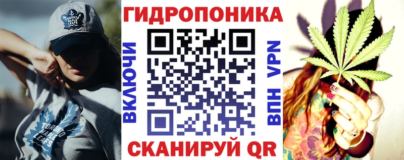 Конопля семена  сайты даркнета официальный сайт  Бирюсинск  гидра ссылки 